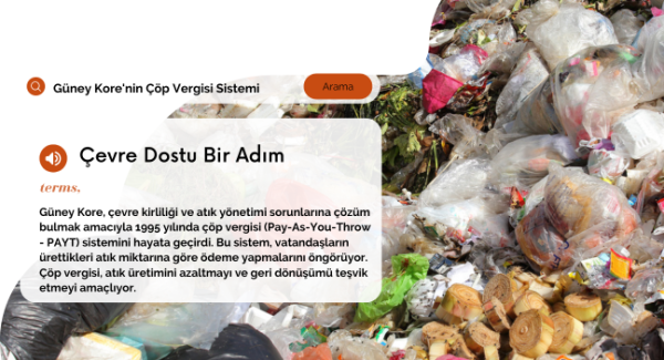 Güney Kore'nin Çöp Vergisi Sistemi: Çevre Dostu Bir Adım