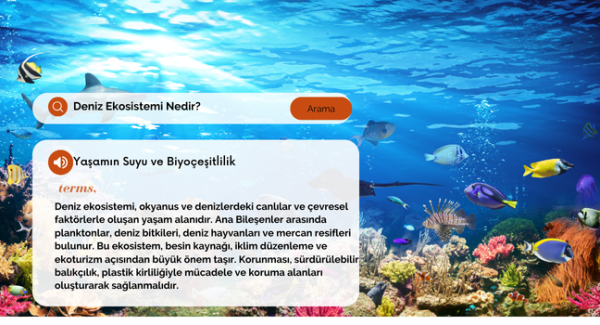 Deniz Ekosistemi Nedir?